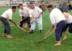 Palín Bollilco Mapu Mew. Juego del Palín.